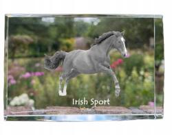 Art-Dog Ír sportló fotó kristályban, emléktárgy, trófea köszönetnyilvánítás (5055882468092)
