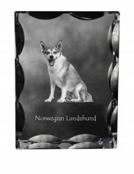 Art-Dog Norsk Lundehund kutya fotó díszes kristályban, ajándéktárgy, lakásdekoráció (5055882448575)