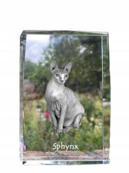 Art-Dog Macska Szfinx fotó kristályban, emléktárgy, trófea, köszönetnyilvánítás (5055882467552)