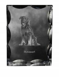 Art-Dog Hovawart kutya kép díszes kristályban, ajándéktárgy, lakásdekoráció (5055882449183)