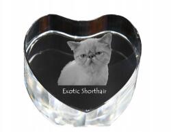 Art-Dog Macska Egzotikus rövidszőrű kristály szív, macska fénykép ajándéktárgy (5055882446489)