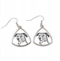 Art-Dog Osztrák pincher háromszög alakú lógós fülbevaló kutyával, fényképpel (5055882475663)