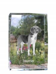 Art-Dog Harrier kutya kép kristályban, ajándéktárgy, trófea, köszönetajándék (5055882466739)