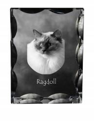 Art-Dog Ragdoll macska fotó díszes kristályban, ajándéktárgy, lakásdekoráció (5055882449510)