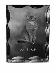 Art-Dog Szomáliai macska fotó díszes kristályban, ajándéktárgy, lakásdekoráció (5055882449862)