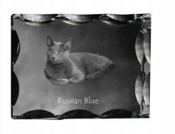 Art-Dog Orosz macska kék fotó díszes kristályban, ajándéktárgy, dekoráció (5055882449688)