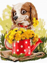 iPicasso Festés számok szerint iPicasso 30x40 cm kereten (PC3040092)