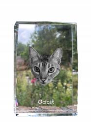 Art-Dog Ocicat macska kristályos fotó, emléktárgy, trófea, köszönetnyilvánítás (5055882467637)