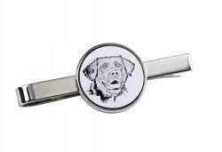 Art-Dog Frizbi vizsla nyakkendőtű kutyával, az Ön fényképével (5055882497290)