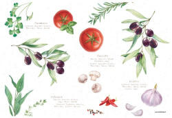 Easy Life Nuova R2S Műanyag tányéralátét 45x30cm, Home & Kitchen