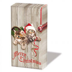 Ambiente Curious Kittens papírzsebkendő 10db-os (32216580)