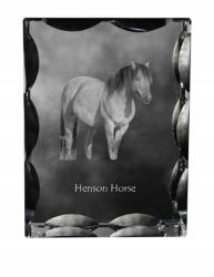 Art-Dog Henson ló fotó díszes kristályban, ajándéktárgy, lakásdekoráció (5055882450387)