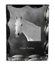 Art-Dog Ló orvvadász fotó díszes kristályban, ajándéktárgy, lakásdekoráció (5055882450424)