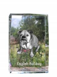 Art-Dog Bulldog fénykép kutya kristályban, ajándéktárgy, trófea, köszönetnyilvánítás, szobor (5055882465688)