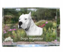 Art-Dog Argentin dog fotó kutya kristályban, emléktárgy, trófea, köszönetnyilvánítás (5055882466173)