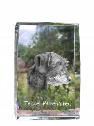 Art-Dog Tacskó durva szőrű kutya kép kristályban, ajándéktárgy, trófea, szobor (5055882466418)