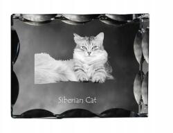 Art-Dog Szibériai macska fotó díszes kristályban, ajándéktárgy, lakásdekoráció (5055882449831)