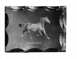 Art-Dog Zweibrucker ló fotó díszes kristályban, ajándéktárgy, lakásdekoráció (5055882450455)