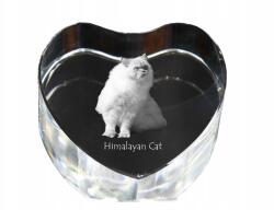 Art-Dog Himalája macska kristály szív, dísz, ajándék macska fotó (5055882446762)