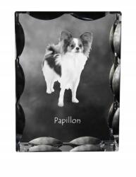 Art-Dog Papillon kutya kép díszes kristályban, ajándéktárgy, lakásdekoráció (5055882448445)