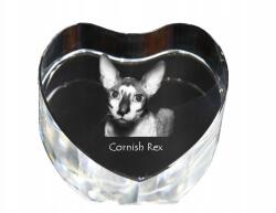 Art-Dog Cornish Rex macska kristály szív, dísz, macska fénykép ajándéktárgy (5055882446571)