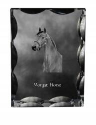 Art-Dog Morgan ló fotó díszes kristályban, ajándéktárgy, lakásdekoráció (5055882450110)