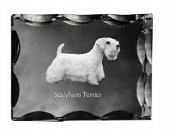 Art-Dog Sealyham terrier kutya kép díszes kristályban, ajándéktárgy, lakásdekoráció (5055882448476)