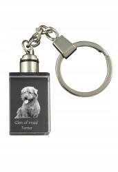 Art-Dog Glen of Imaal terrier kristály kulcstartó kutya kulcstartó fényképpel (5055882427556)