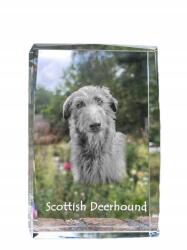 Art-Dog Skót agár fénykép kutya kristályban, emléktárgy, trófea, köszönetnyilvánítás (5055882466807)