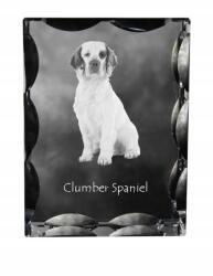 Art-Dog Clumber spániel kutya kép díszes kristályban, ajándéktárgy, lakásdekoráció (5055882448438)