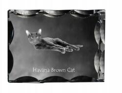 Art-Dog Havanna macska barna fotó díszes kristályban, ajándéktárgy, lakásdekoráció (5055882449756)