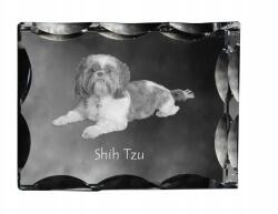 Art-Dog Shih Tzu kutya kép díszes kristályban, ajándéktárgy, lakásdekoráció (5055882447929)