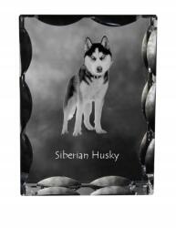 Art-Dog Szibériai husky kutya fotó díszes kristályban, ajándéktárgy, lakásdekoráció (5055882448360)