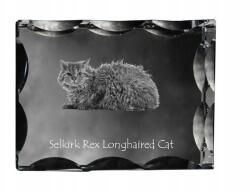 Art-Dog Selkirk Rex Macska hosszú szőrű fotó díszes kristály, ajándék dekoráció (5055882449817)