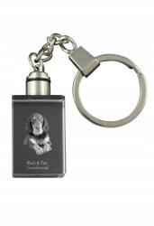 Art-Dog Black and tan coonhound kristály kulcstartó kutya kulcstartó fényképpel (5055882427938)