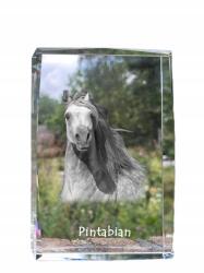 Art-Dog Pintabian ló kristályos fotó, emléktárgy, trófea, köszönetnyilvánítás (5055882468436)