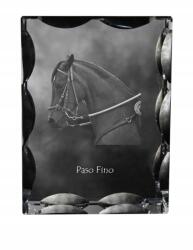 Art-Dog Paso Fino ló fotó díszkristályban, ajándéktárgy, lakásdekoráció (5055882450134)