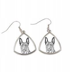 Art-Dog Holland juhászkutya háromszög alakú lógós fülbevaló kutyával, fényképpel (5055882476127)