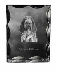 Art-Dog Olasz vizsla durva szőrű kutya kép díszes kristályban, ajándéktárgy (5055882448827)