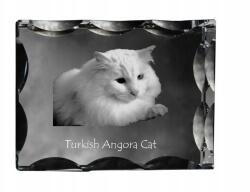 Art-Dog Macska Török angora fotó díszes kristályban, ajándéktárgy, lakásdekoráció (5055882449657)