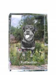 Art-Dog Rottweiler fotó kutya kristály, emléktárgy, trófea, köszönetajándék (5055882465855)
