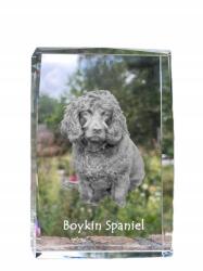 Art-Dog Boykin spániel kutya kép kristályban, ajándéktárgy, trófea, köszönetajándék (5055882467057)