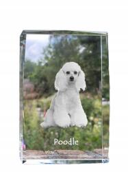 Art-Dog Uszkár kutya kép kristályban, ajándéktárgy, trófea, köszönetajándék, szobor (5055882465831)