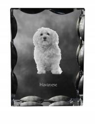 Art-Dog Havannai kutya fotó díszkristályban, ajándéktárgy, lakásdekoráció (5055882448681)