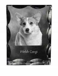 Art-Dog Pembroke Welsh Corgi kutya fotó díszkristályban, ajándéktárgy, dekoráció (5055882448391)