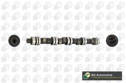 BGA Vačkový hriadeľ BGA CS6303 (CS6303)