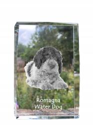 Art-Dog Román vízi kutya fotó kutya kristály, emlék trófea köszönetnyilvánítás (5055882466883)