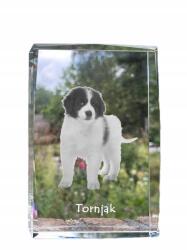 Art-Dog Torn, mint egy kutya képe kristályban, ajándéktárgy, trófea, köszönetnyilvánítás (5055882467316)