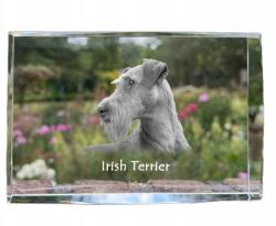 Art-Dog Ír terrier fénykép kutya kristályban, emléktárgy, trófea, köszönetnyilvánítás (5055882466500)