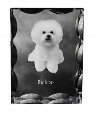 Art-Dog Bolognai kutya fotó díszes kristályban, ajándéktárgy, lakásdekoráció (5055882447516)